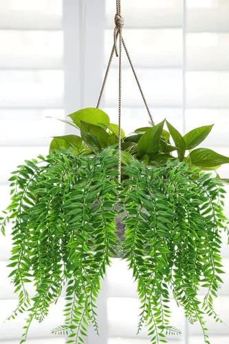 Miniatura 2 de Sauce llorón falso, plantas colgantes artificiales de plástico, hojas verdes, plantas de vid sintética, guirnalda de hiedra para el hogar