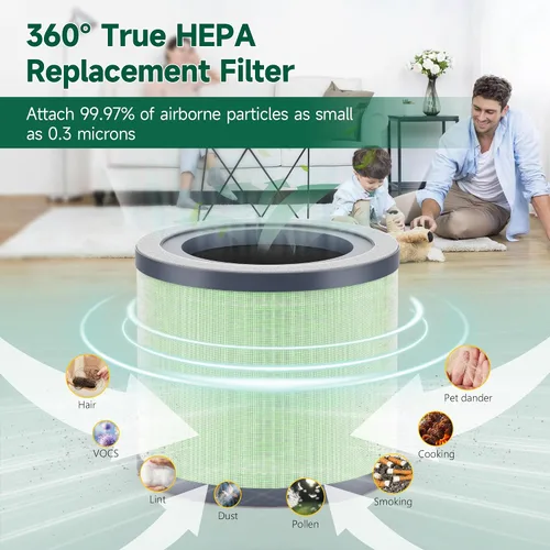 Miniatura 4 de SAKEGDY Filtro de repuesto TR-8080 compatible con purificador de aire Dreamegg TR-8080, número de pieza RF001, filtración 4 en 1 con filtro