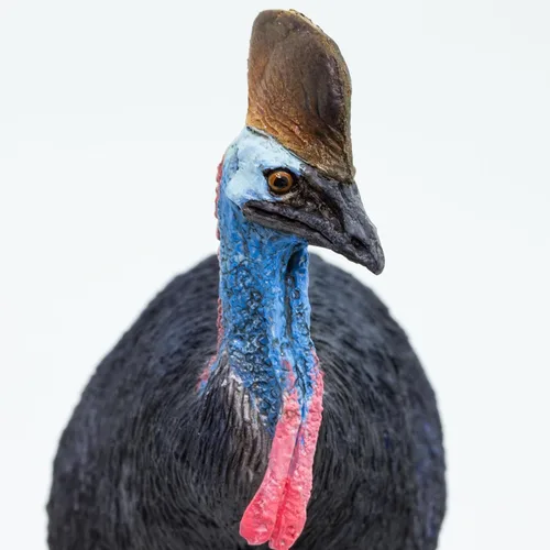 Miniatura 4 de Safari Ltd. Figura de cassowary - Figura detallada de plástico de 3.5 pulgadas, juguete educativo para niños, niñas y niños a partir de 3 años