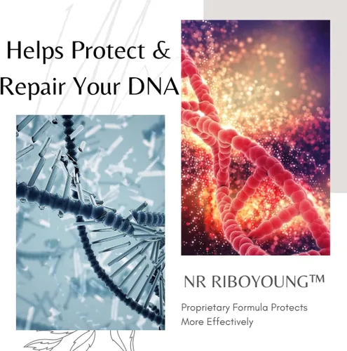 Miniatura 3 de BioImmune Suplemento NAD+. Fórmula exclusiva con RiboYOUNG™ pendiente de patente. Ribosida de nicotinamida, quercetina, resveratrol, activador