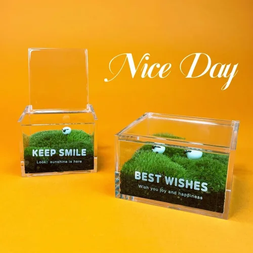 Miniatura 4 de KissYou Caja de acrílico con tapa, caja transparente con tapa con bisagras, almacenamiento de acrílico, soporte para cápsulas de café, organizador