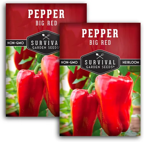 Miniatura 10 de Semillas de pimiento rojo grande para plantar Pimientos rojos tradicionales de pared gruesa – Polinizado abierto sin OMG – Semillas de jardín
