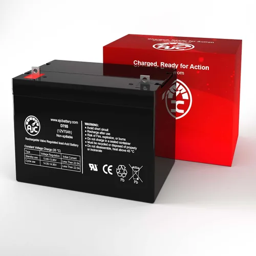 Miniatura 2 de AJC Batería compatible con batería UPS Power Patrol SLA1175 12V 75Ah