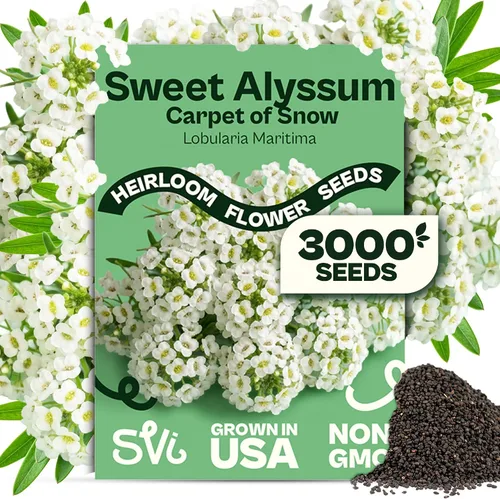 Miniatura 18 de Queen Anne 's Lace- 200 semillas – 50% de descuento venta