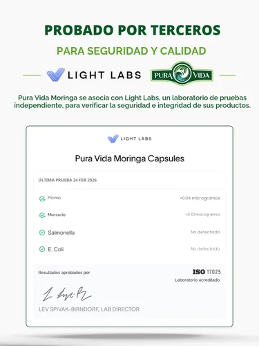 Miniatura 2 de PURA VIDA MORINGA Polvo orgánico de origen único - Polvo de hojas 100% premium, moringa oleifera orgánica USDA, polvo de hoja de moringa - Perfecto