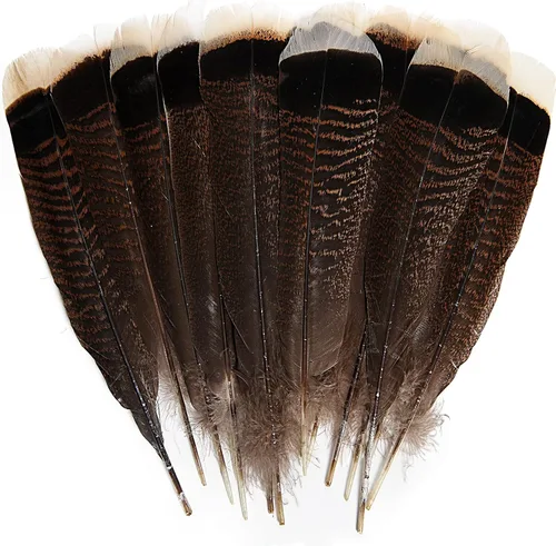 Miniatura 12 de THARAHT 24 plumas de faisán femenino, plumas naturales de 6 a 8 pulgadas, 5.9-7.9 in para manualidades, hogar, boda, fiesta, actuación, decoración