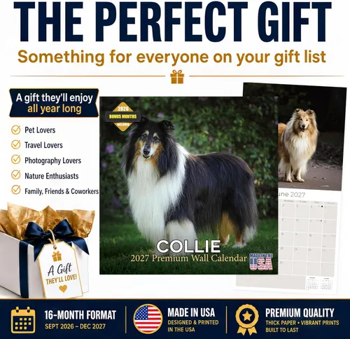 Miniatura 8 de Calendario Collie 2025 2026 – Calendario mensual de pared de raza de perro – 12 x 24 pulgadas abierto – Papel grueso que no se corre – Regalar