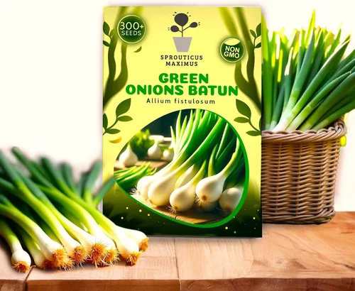 Semillas Cebollas Verdes Batun Más de 300 Semillas para Cultivar Cebollas Heirloom Bunching Onions Cebolletas Cebolletas