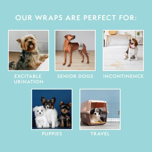 Miniatura 5 de Simple Solution Envolturas desechables para perros, pañales para perros machos, entrenamiento para ir al baño para cachorros, protección contra