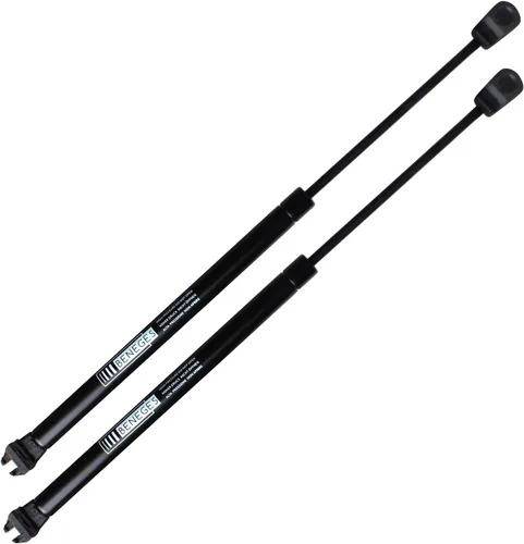 2 soportes de elevación de capó compatibles con 2005-2010 Magnum/Charger, 2008-2012 Challenger, 2005-2010 Chrysler 300 300C resortes de gas cargados