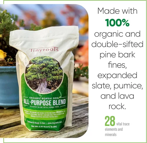 Miniatura 6 de Tinyroots Bonsai Soil Plus un paquete de tres macetas de entrenamiento para bonsái de seis pulgadas