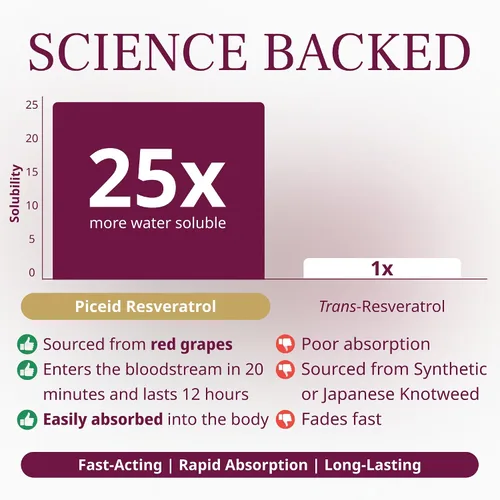 Miniatura 5 de VINIA Cápsulas de suplemento de resveratrol Piceid. Aumenta el flujo sanguíneo y el óxido nítrico. Presión arterial y apoyo a la salud cardíaca