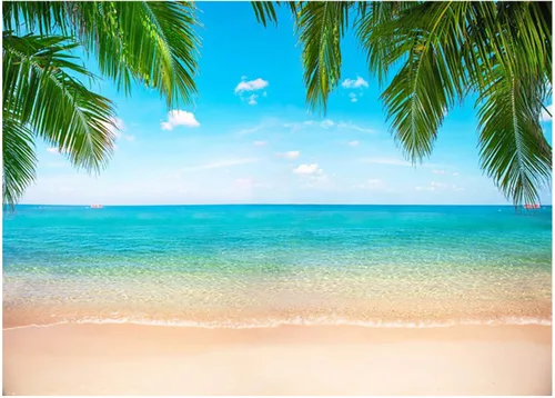 Fondo de playa y océano, fondo tropical hawaiano, fotografía de verano, fotografía de Luau, decoraciones de fiesta temática de Ladvis 82.7 x 59