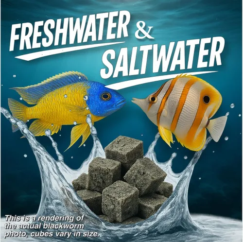 Miniatura 4 de Super Cichlids Gusanos negros de California liofilizados, totalmente naturales, perfectos para acuarios marinos y tropicales, alto contenido