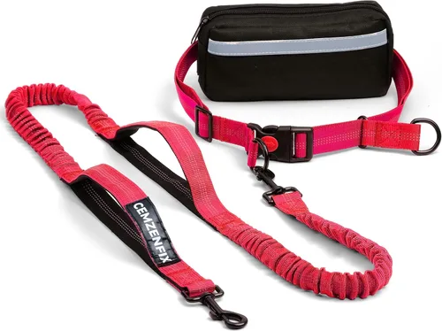 Miniatura 9 de Correa de perro manos libres con cinturón – Bungee sin tirones, asas acolchadas dobles y bolsa con cremallera para correr, caminar y entrenar