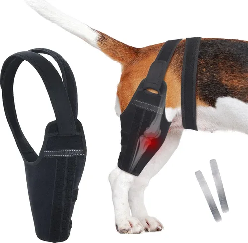 Miniatura 12 de Rodillera para perro para pierna trasera desgarrada del ligamento cruzado anterior, soporte ajustable para pierna trasera con 2 estabilizadores, Azul