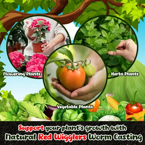 Miniatura 4 de Fundición de gusano orgánico para plantas de 8 onzas – Vermicast de gusanos rojos para compostaje – Enmiendas del suelo y tierra de jardinería