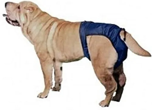 Integrated Pet Solutions SnuggEase - Pañal lavable para perros (paquete de 2), grande