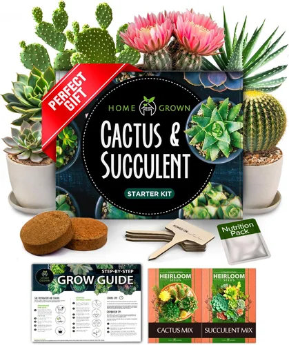 Miniatura 12 de HOME GROWN Kit de árbol bonsái – 6 variedades heredadas con macetas únicas – Kit de inicio de bonsái DIY para adultos y principiantes – Regalo