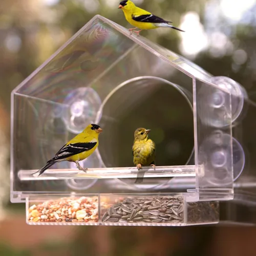 Miniatura 6 de Nature Anywhere Comedero para pájaros de ventana – Comedero acrílico transparente para pájaros para exteriores – Agarre de succión mejorado