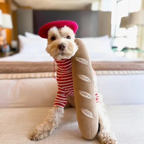 Miniatura 5 de CHEWFFON Juguete Interactivo Chirriante para Perros, Juguetes de Rompecabezas de Enriquecimiento para Perros, Juego de Liberación de Estrés