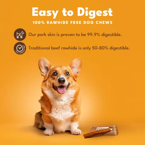 Miniatura 2 de Pork Chomps Masticables de piel de cerdo asada para perros, rollos de 8 pulgadas, 5