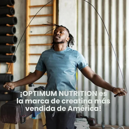 Miniatura 6 de Optimum Nutrition Creatina Micronizada Monohidrato en polvo, sin sabor, 240 porciones, 1200 gramos (el embalaje puede variar)