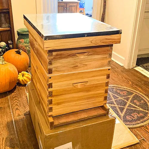 Miniatura 6 de Beehive - Kit de iniciación de 8 marcos para colmenas de abejas y suministros, colmena de abejas para principiantes, colmena de abejas incluye 1
