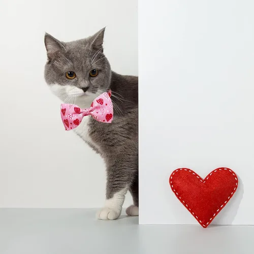 Miniatura 6 de Juego de collar de gato con pajarita de San Valentín con campana, collar de gato con corazón rosa para niños y niñas, gatitos