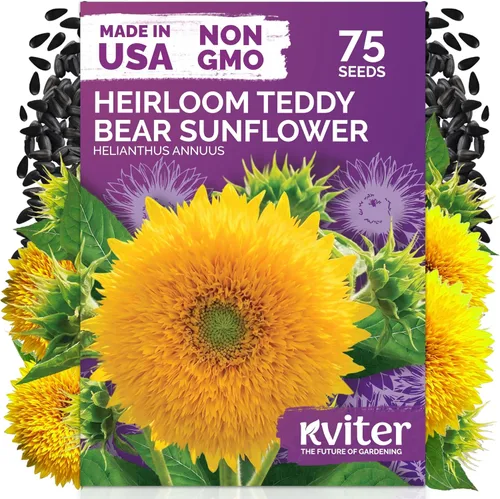 Miniatura 51 de KVITER 1600 semillas de pensamiento de los gigantes suizos para plantar (Viola wittrockiana) - Paquetes de semillas de colores mixtos Flores