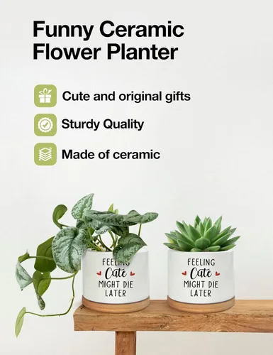 Miniatura 5 de Feeling Cute Might Die Later - Maceta de cerámica grabada para suculentas, aloe y cactus, divertidas macetas de interior con bandeja de bambú