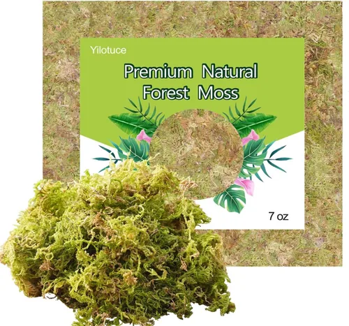 Musgo de orquídea natural de 7 onzas para plantas en maceta, bonito suelo para macetas sin suelo para plántulas y cortes, buena idea para terrario