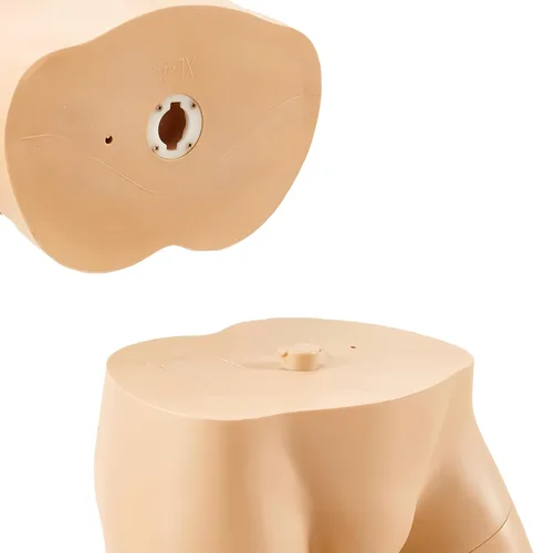 Miniatura 8 de Maniquí masculino de cuerpo completo de 72.8 pulgadas, modelo de cuerpo humano realista, maniquí de exhibición de estilo brasileño con brazos