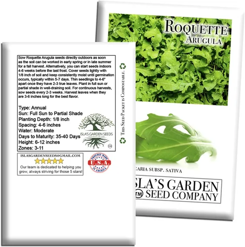 Miniatura 7 de Semillas "Roquette Rúcula" para plantar, más de 1000 semillas tradicionales por paquete, semillas sin OMG, (semillas de jardín de Isla), nombre