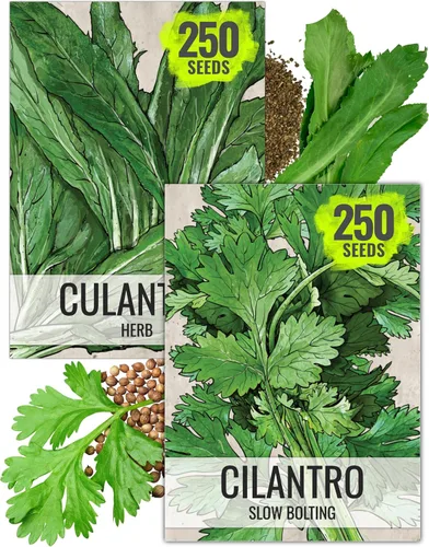 Miniatura 11 de Seed Needs Semillas de manzanilla para plantar manzanilla alemana y romana, semillas de hierbas sin OMG y sin tratar para plantar un jardín
