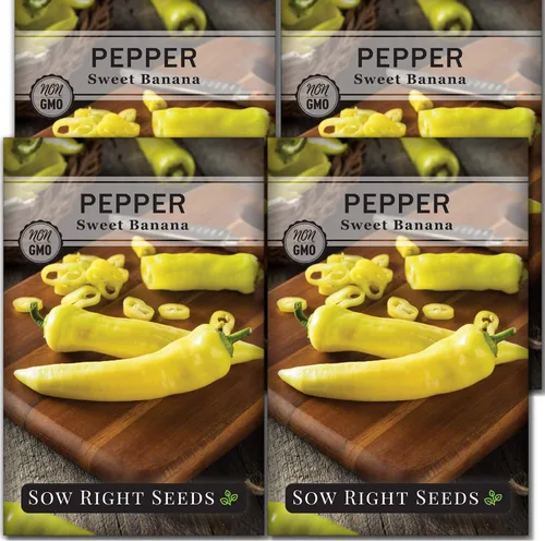Miniatura 7 de Sow Right Seeds - Semilla de pimiento dulce de plátano para plantar - Paquete de reliquia sin OMG con instrucciones para plantar un huerto