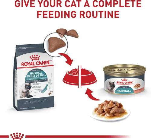 Miniatura 6 de Royal Canin Feline Care Nutrition Hairball Care Alimento seco para gatos adultos, bolsa de 3 libras