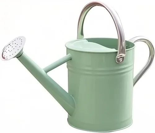 Miniatura 15 de Regadera de metal, latas de riego de un galón de acero inoxidable para riego de plantas de jardín interiores y exteriores (zinc de 1 galón)