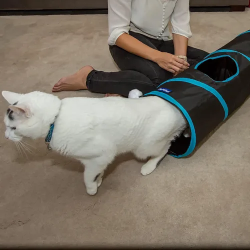 Miniatura 4 de PetLike Túnel para gatos de interior plegable para mascotas, tubo emergente para mascotas, escondite, juguetes de juego para gatos con pelota