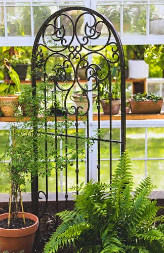 Miniatura 5 de H Potter Enrejado de jardín para plantas trepadoras, panel de pared al aire libre de hierro forjado de metal para vides y flores