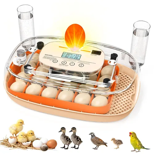 Incubadora de huevos para 24 huevos de gallina con girador automático, control digital de temperatura y pantalla de humedad, vela, criador de aves