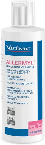Miniatura 4 de Allermyl Piroctone Olamine Champú Medicado para Mascotas - Champú Hipoalergénico para Perros y Gatos, Champú Calmante e Hidratante para Perros