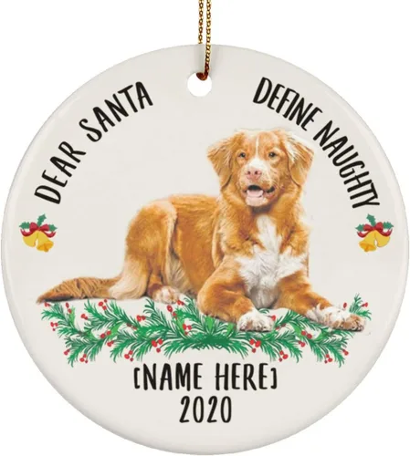 Divertido nombre personalizado de Nueva Escocia Duck Tolling Retriever Apricot Dear Santa Define Naughty Gifts 2025 Adornos de árbol de Navidad