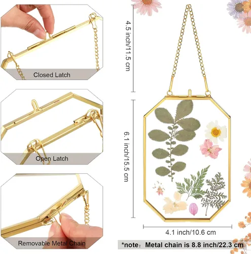 Miniatura 2 de Treela 4 marcos de flores prensadas de vidrio de 4 x 6 pulgadas, marcos de vidrio dobles colgantes con cadena de metal octágono de latón para mesa