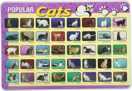 Miniatura 7 de Painless Learning Popular Birds - Mantel individual, tamaño grande