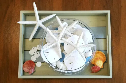 Miniatura 5 de Tumbler Home 12 dólares de arena de 3-3.5 pulgadas. Adorno de concha marina para bodas, elegido a mano y empaquetado profesionalmente