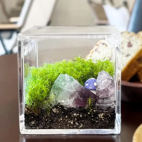 Miniatura 4 de KissYou Caja pequeña de acrílico con tapa, tapa transparente con bisagras, soporte para cápsulas de café, caramelo transparente, cubo cuadrado