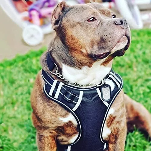 Miniatura 2 de Collar de cinturón ajustable a juego, suministros de entrenamiento reflectante para mascotas, arnés de nailon para perros grandes sin tensión