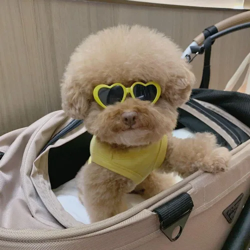 Miniatura 2 de Lentes de sol morados con forma de corazón para mascotas, accesorios para fotos, lindos lentes de sol para perros, gafas de sol, flores, decoración