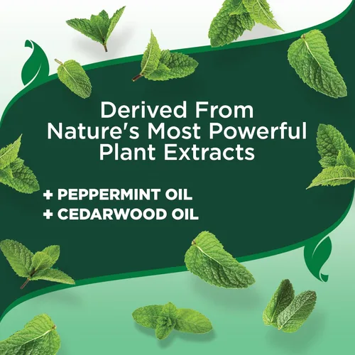 Miniatura 5 de Vet's Best Collar natural para pulgas y garrapatas para perros, collar repelente natural con ingredientes a base de plantas, prevención